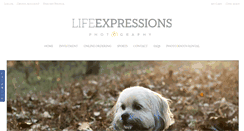 Desktop Screenshot of lifeexpressionstn.com